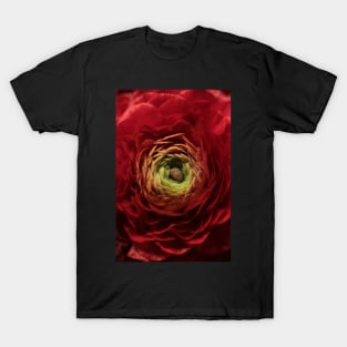 Rot T-Shirt